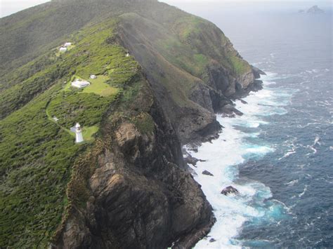 maatsuyker island wildlife.